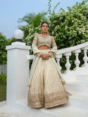 Jasminium Premier