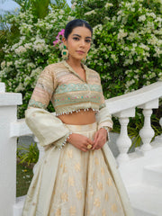 Jasminium Premier